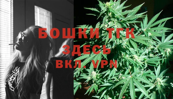 прущая мука Каменногорск