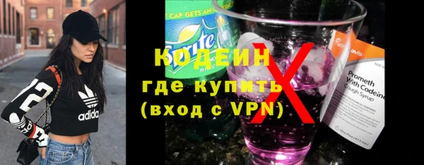 мет Каменка