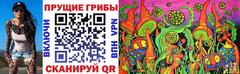 Галлюциногенные грибы Cubensis  Кизилюрт 